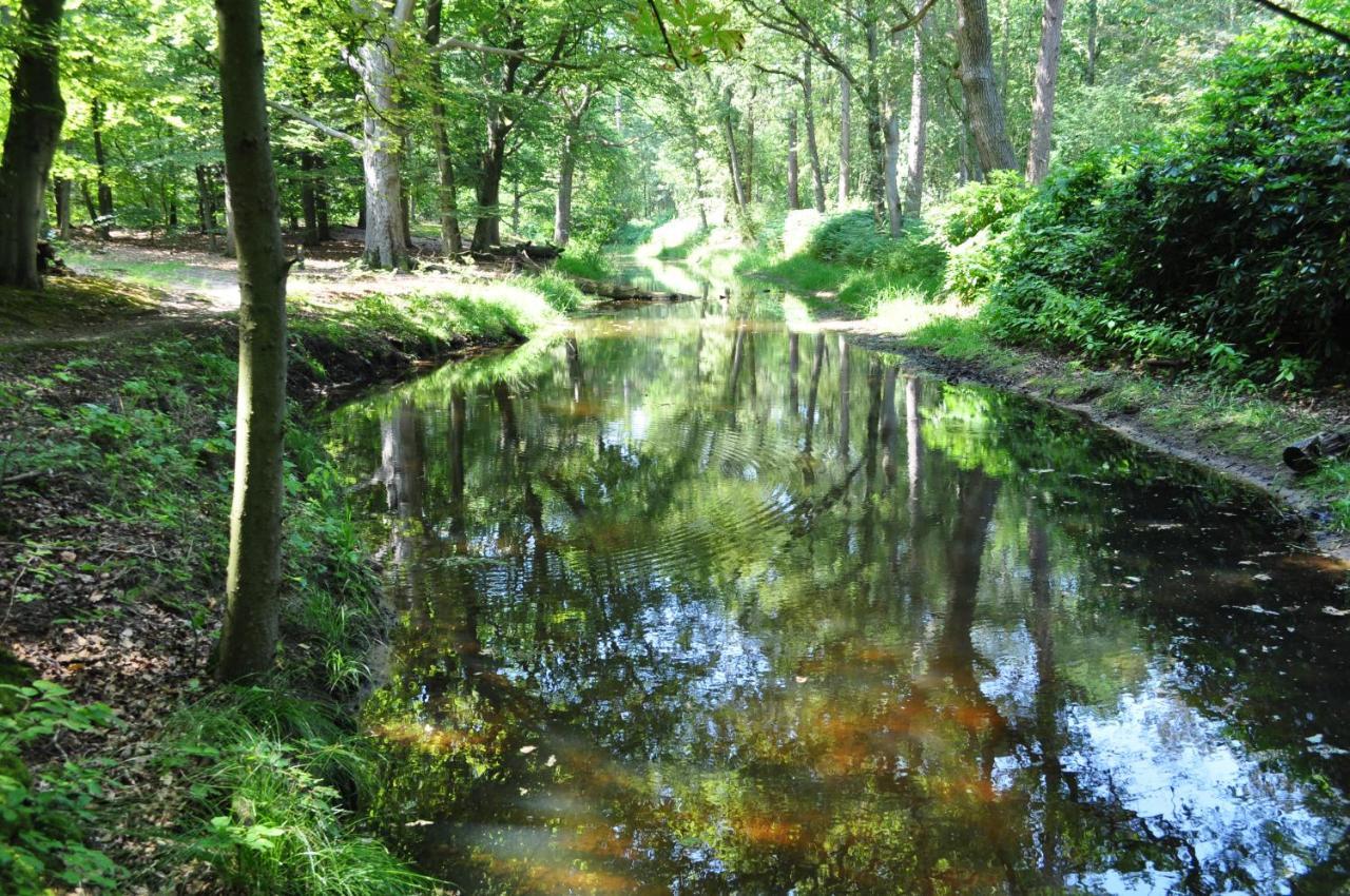Gasterij Leyduin Villa Vogelenzang Eksteriør billede