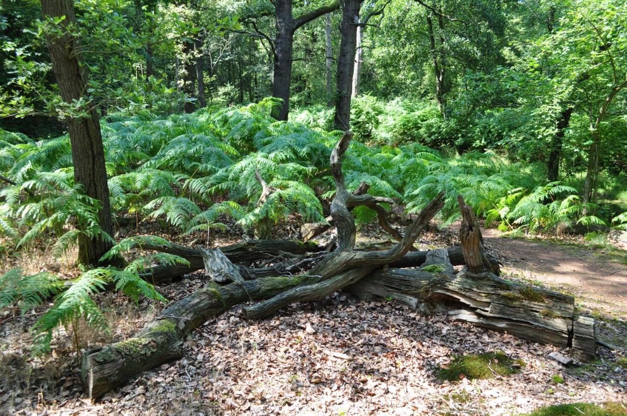 Gasterij Leyduin Villa Vogelenzang Eksteriør billede